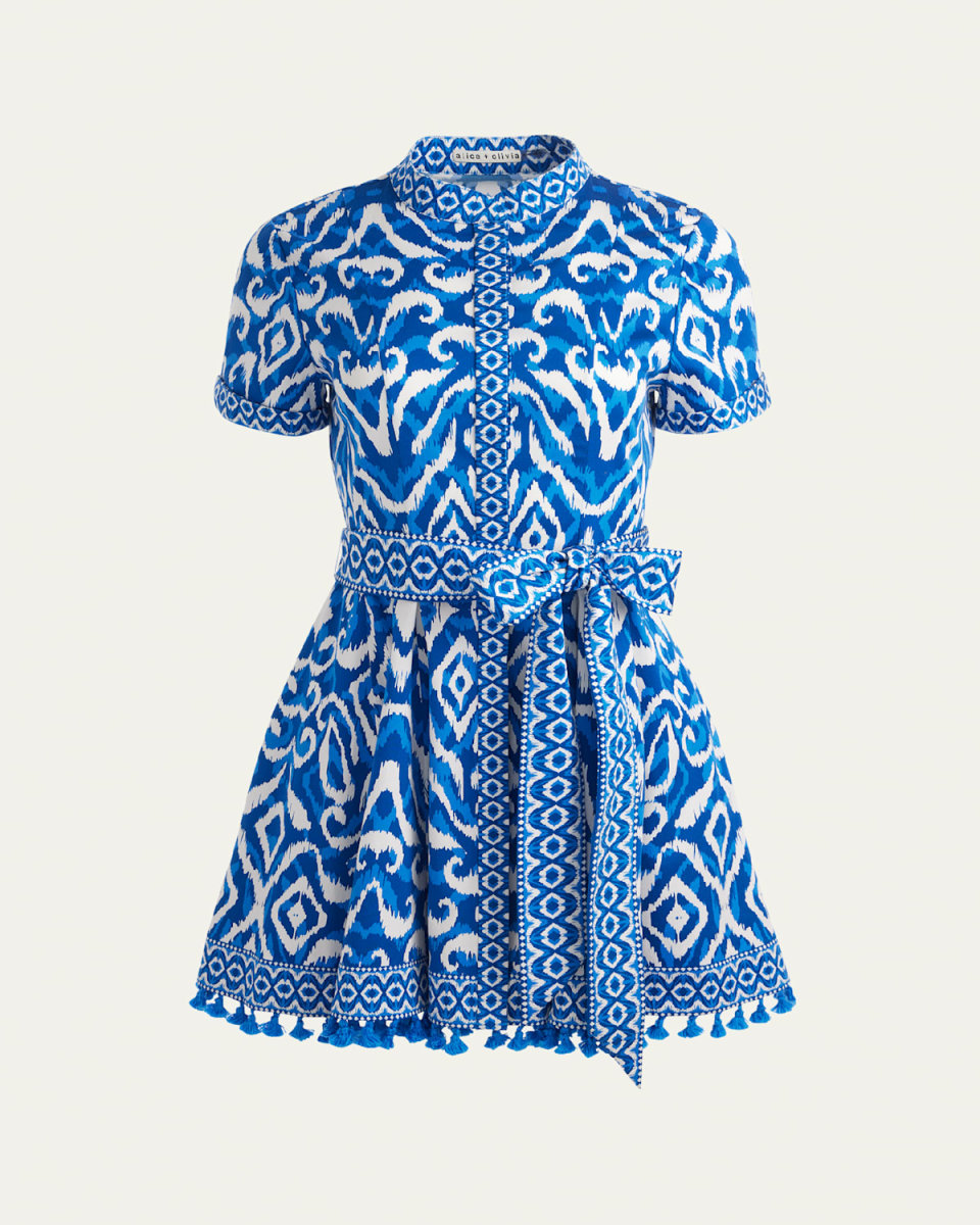 Artisan Ikat Lucy Mini Dress